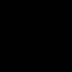 Meet your Posher, Kyesha